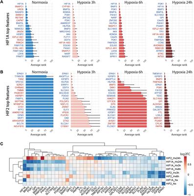 Detecting subtle transcriptomic perturbations induced by lncRNAs knock-down in single-cell CRISPRi screening using a new sparse supervised autoencoder neural network